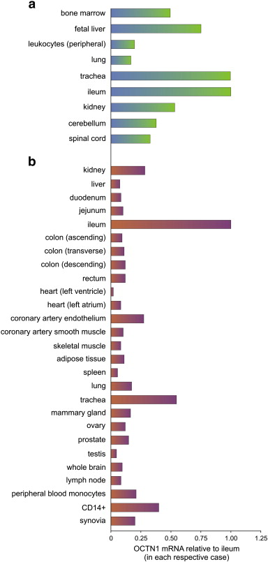 Tissue expression of the ERGOTHIONEINE transporter, OCTN1, analyzed by real-time PCR adapted from 2 independent sources (Grundemann et al. 2005; National Academy of Sciences and Taubert et al. 2009; BMJ Journals). Data are relative to mRNA level of the ileum for each set.