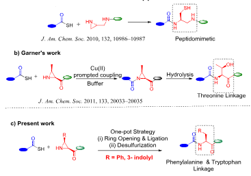 Previous and present work on aziridine-mediated ligation.