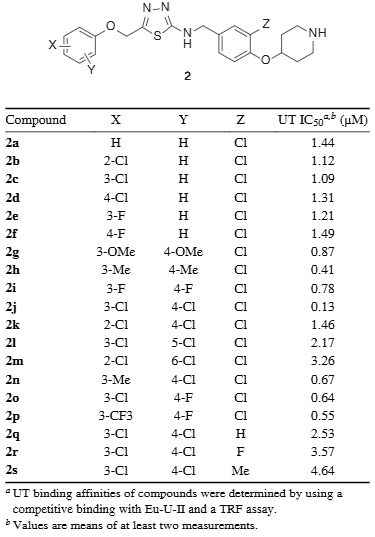 Substituents effects on the UT binding affinity of 1,3,4-thiadiazol-2-amines.