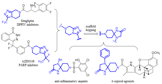 Structures of representative triazolopiperazines derivatives and scaffold hopping to 1,4,8-triazaspiro[4.5]decan-3-ones framework: Sitagliptin, AZD0108