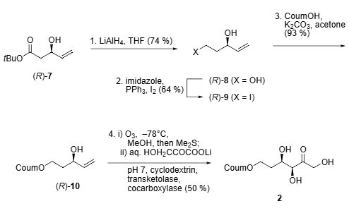 Biocatalytic stereoselective synthesis of fluorogenic substrate 2.