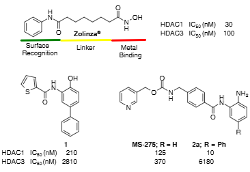 ZOLINZA®, Biaryl 1, MS-275, and SHI-1:2 2a.