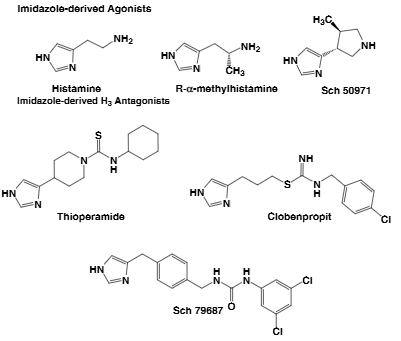Examples of imidazole-derived agonists and antagonists:Thioperamide, clobenpropit, SCH-79687, r-alpha-methylhistamine.