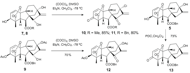 Synthesis of gibberellin derivatives bearing α,β-unsaturated ketone moiety.