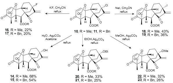 Synthesis of new gibberellin derivatives bearing α,β-unsaturated ketone moiety.