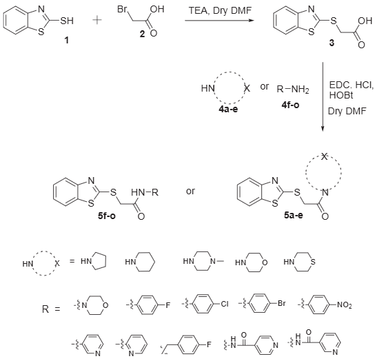 Synthetic approach for 2-mercaptobenzothiazole conjugates.