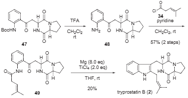 Total synthesis of tryprostatin B.
