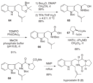 Total synthesis of tryprostatin B.