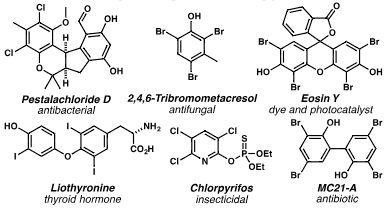 Selected haloarenes: Pestalachloride D, 2,4,6-Tribromo-m-cresol, Eosine Y, Liothyronine, Chlorpyrifos, mC21-A.