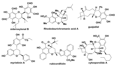 Natural products containing chromane motifs: Sideroxylonal B, Rhododaurichromanic acid A, myristinin A, Rubicordifolin, Guajadial, Cytosporolide A.
