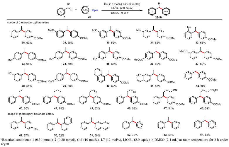 Substrate scope for the coupling with pinacol-derived (hetero)aryl boronate esters.