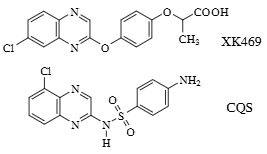 Structures of XK469 and chloroquinoxaline sulfonamide (CQS).