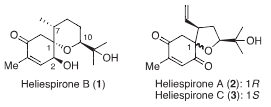 Structures of heliespirons: Heliespirone B, Heliespirone A, Heliespirone C.
