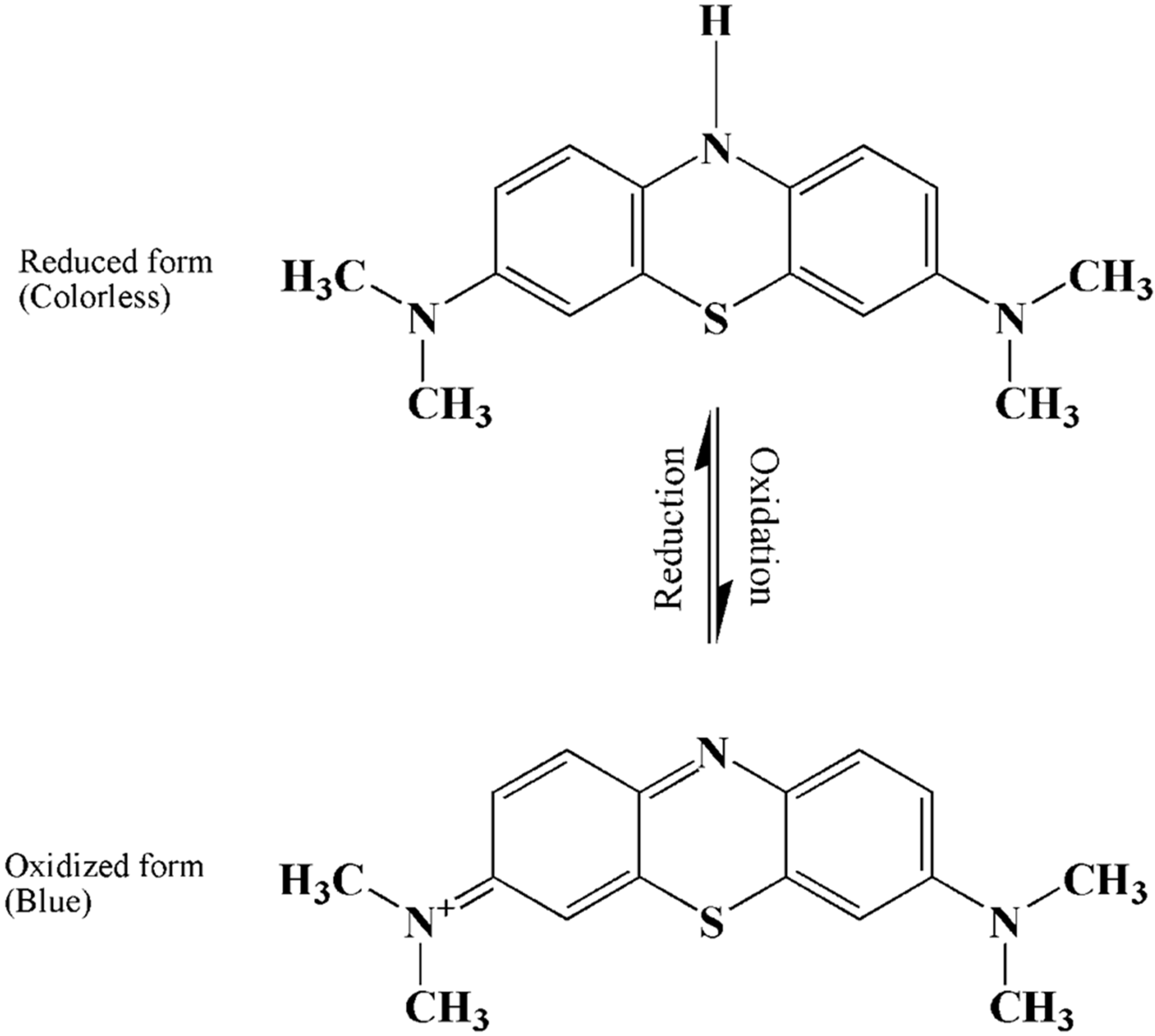 Oxidized and reduced forms of methylene blue (MB).